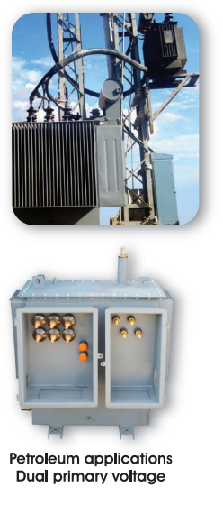 type of oil immersed transformers